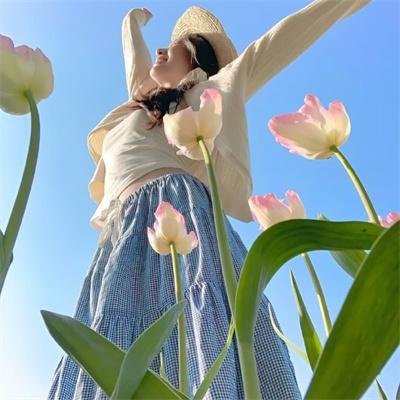 加藤隼战斗队 海报